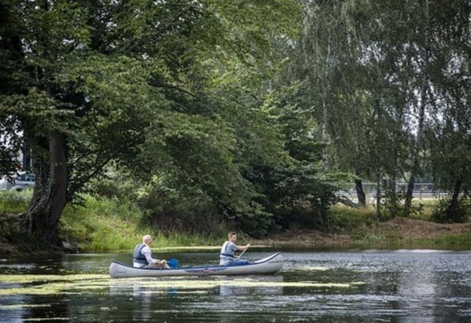 Bild 12