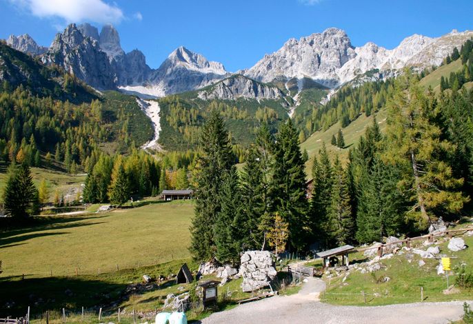 Bild 24