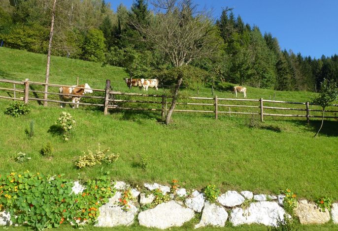 Bild 14