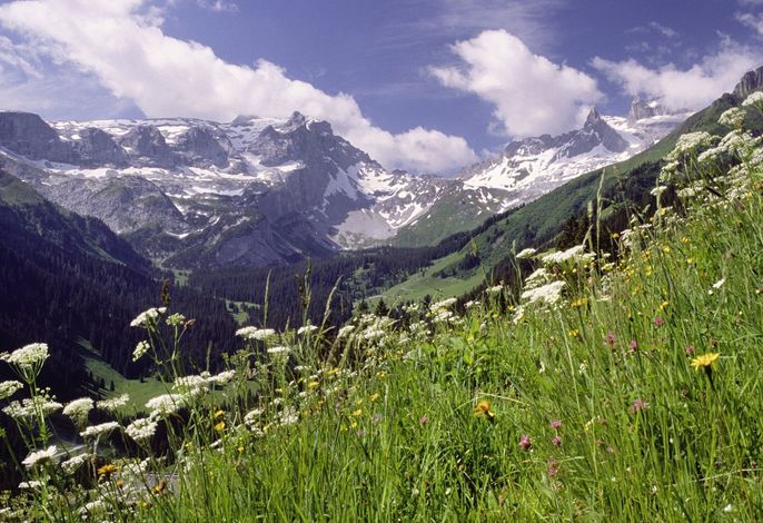Bild 31