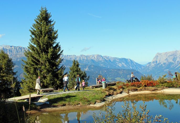 Bild 23