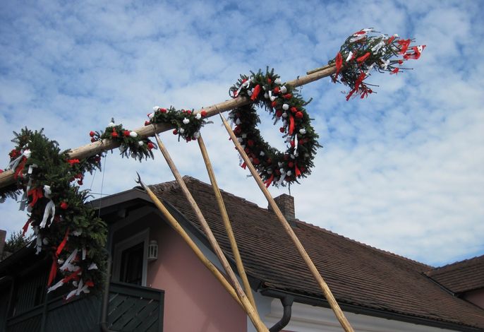 Bild 13