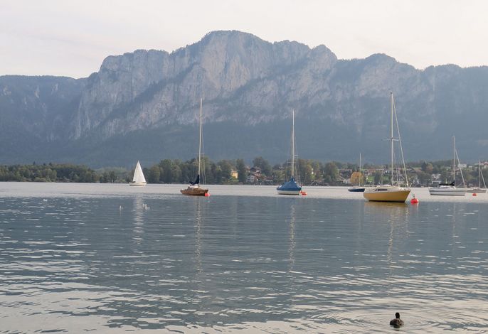 Bild 23
