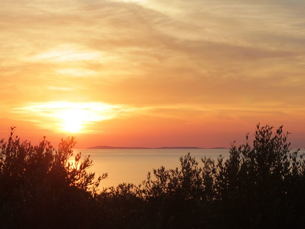 Poggio degli Ulivi