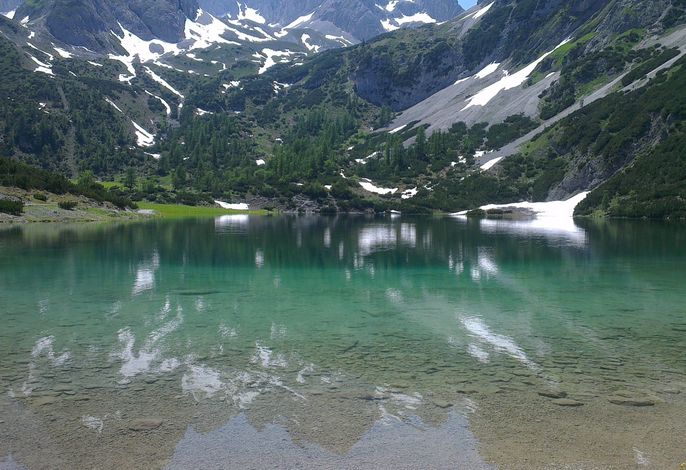 Bild 36