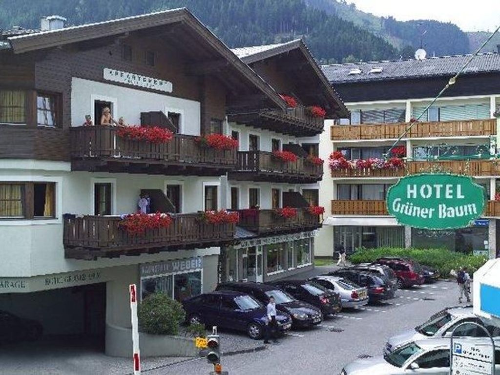 Hotel Grüner Baum