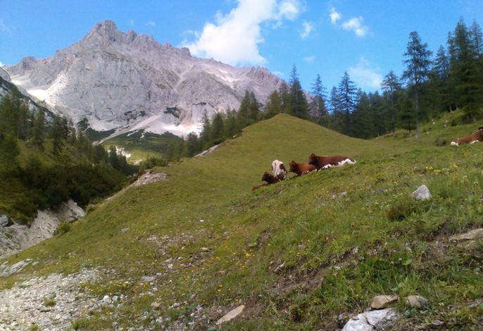 Bild 8