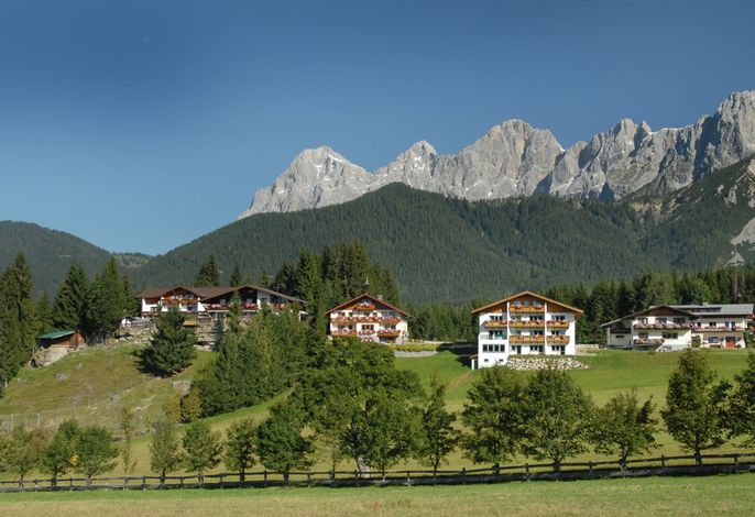 Bild 14