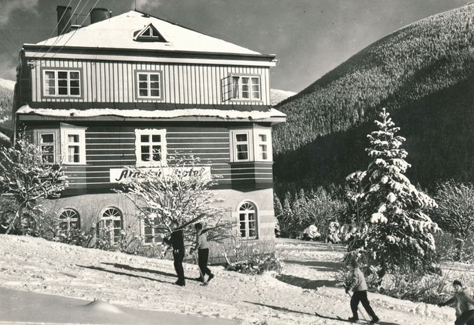 Bild 12