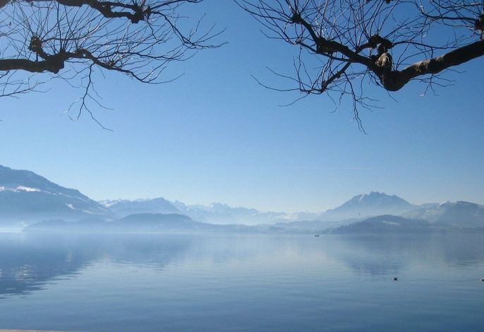 Bild 20
