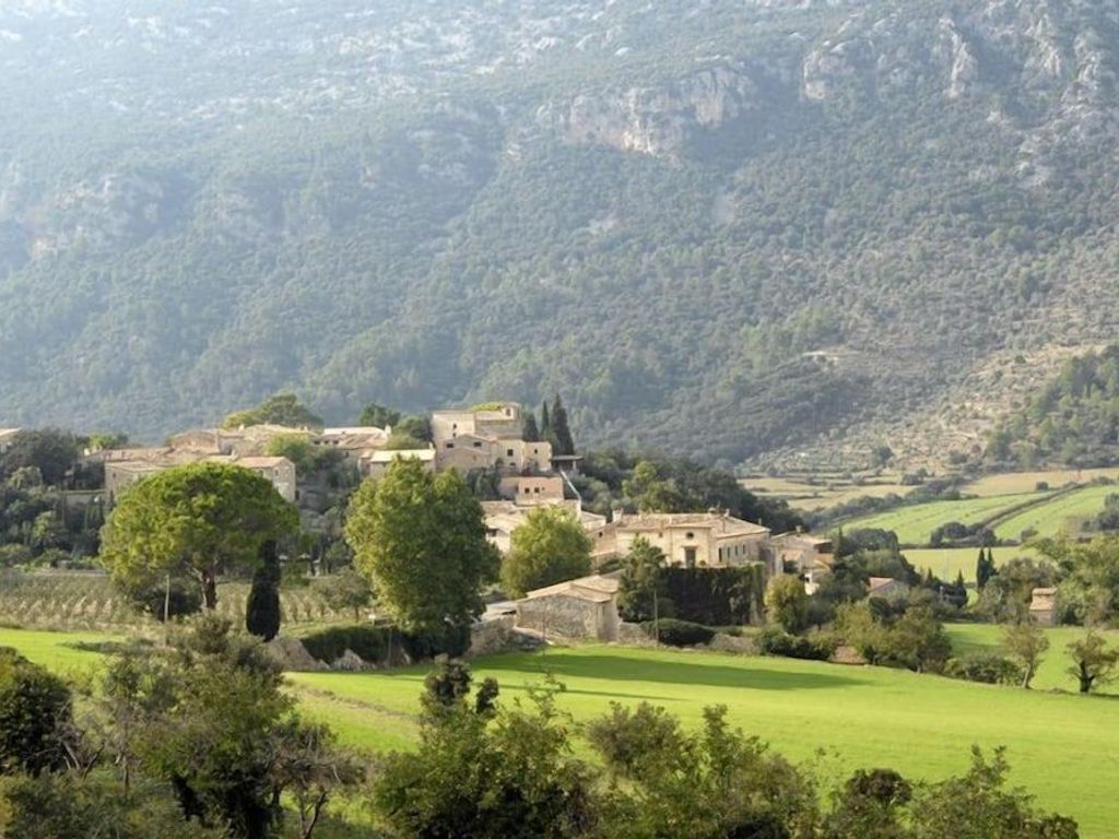 Finca Son Palou