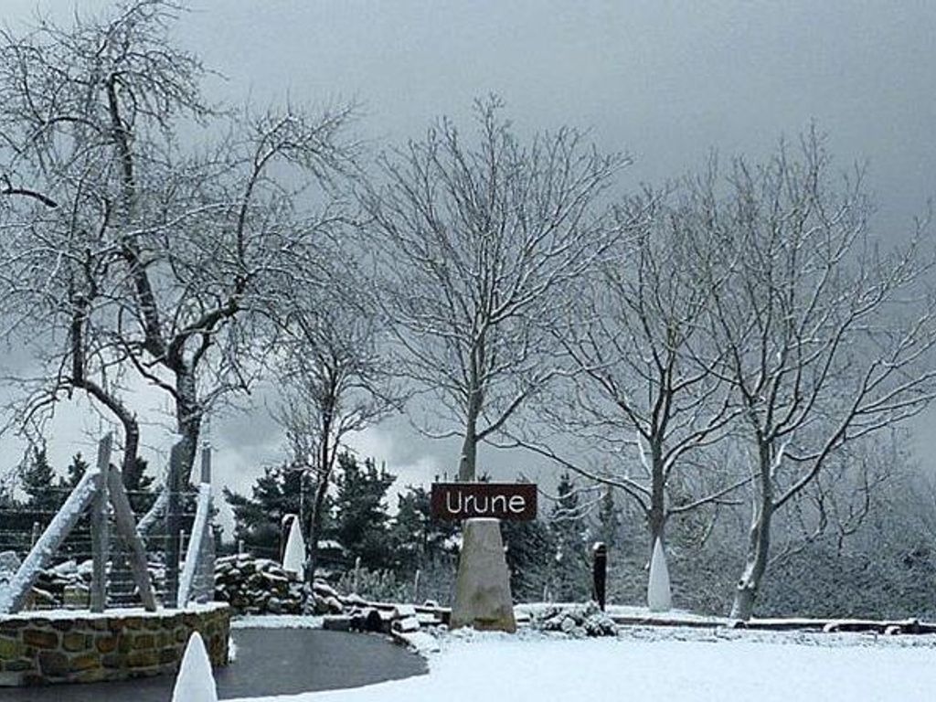 Hotel Urune