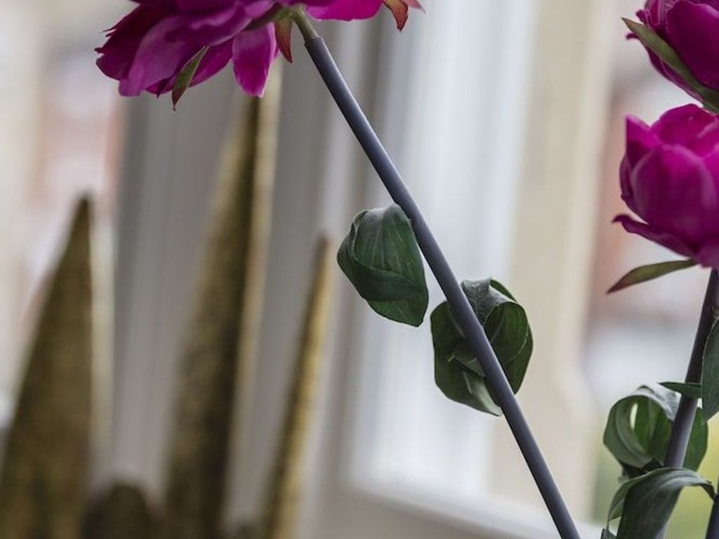 Ethos Hotel – Oxford City