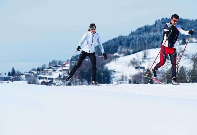 Bild 41
