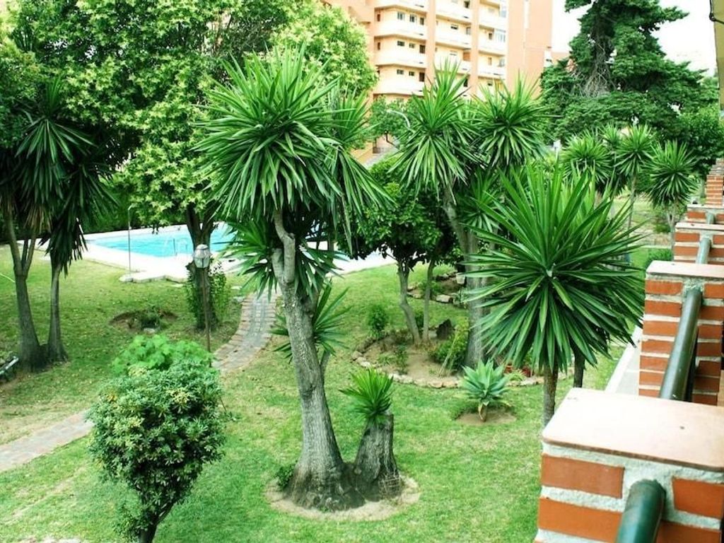Apartamentos San Carlos