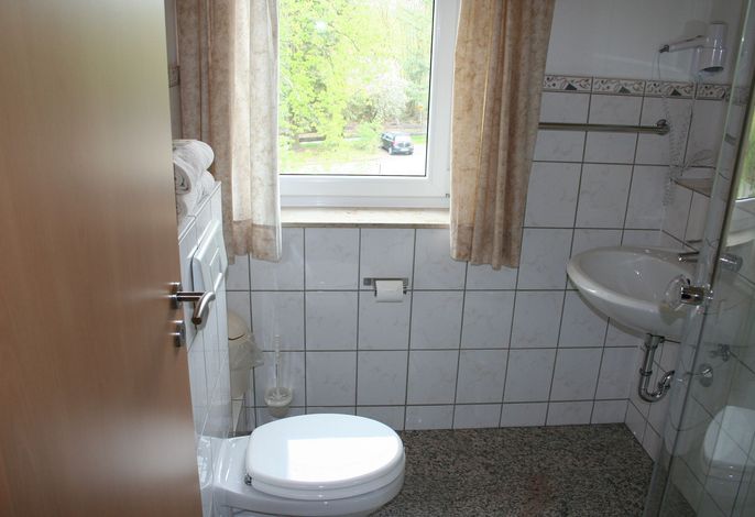 Bild 41