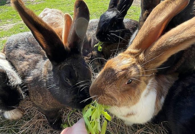 Bild 35