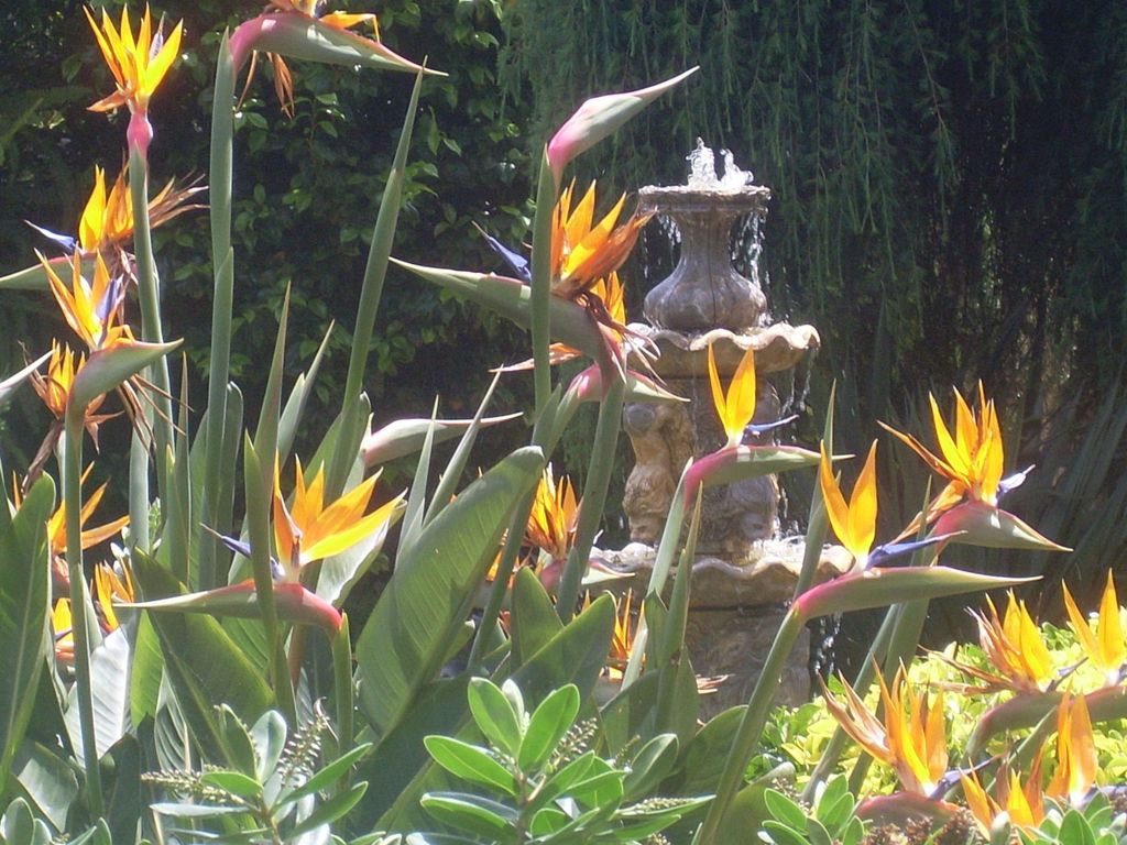 Bosque Mar