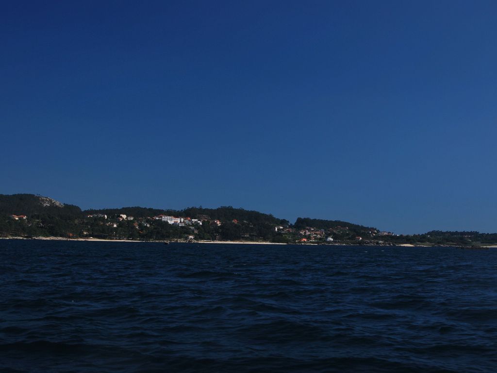 Bosque Mar