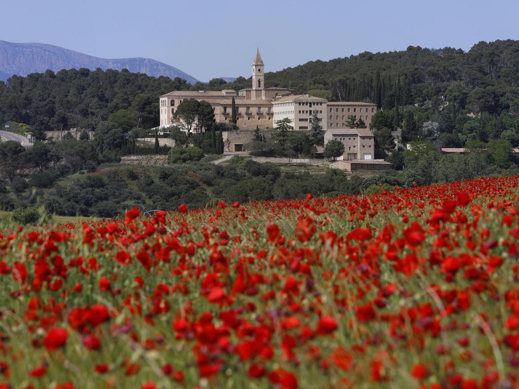 Monestir de les Avellanes