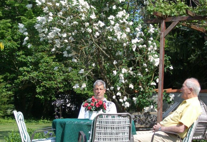 Bild 8