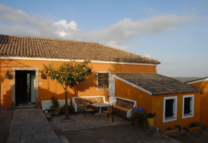 Bild 20