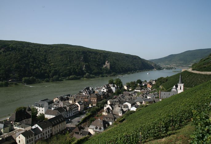 Bild 9