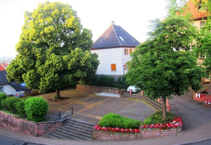Bild 25