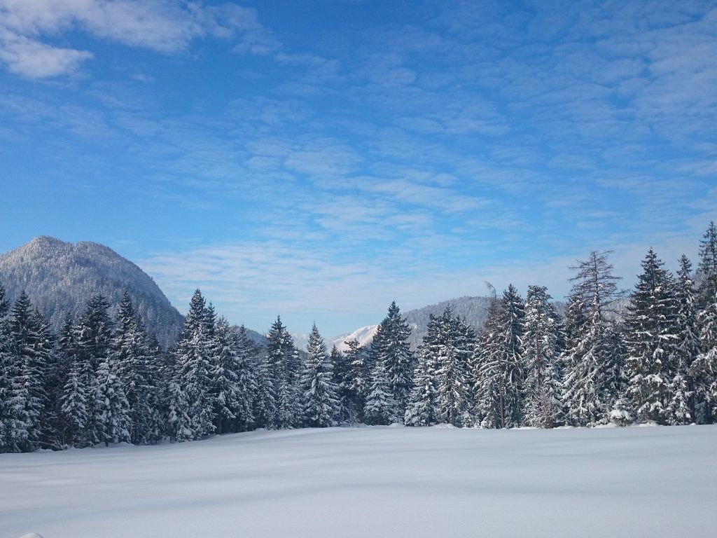 Berggasthof Bärnstatt