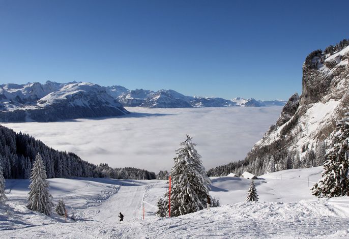 Bild 57