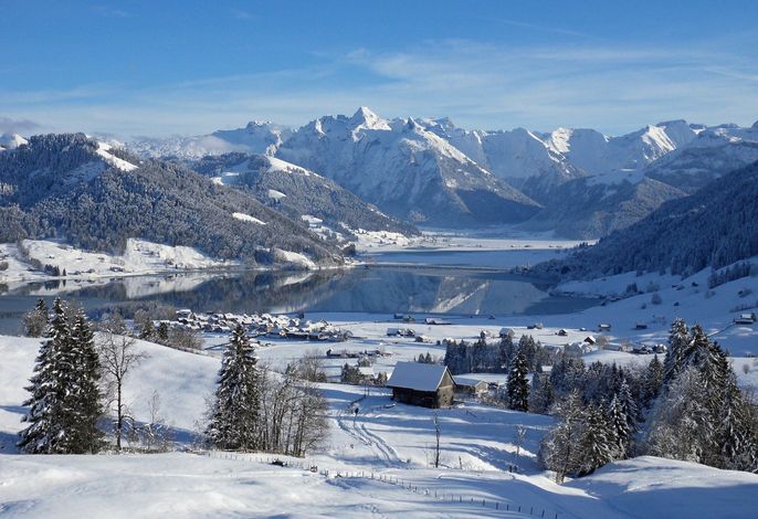 Bild 54