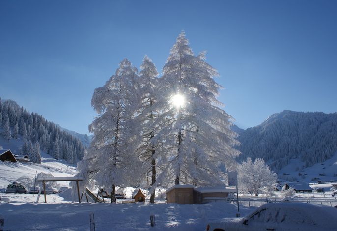 Bild 12