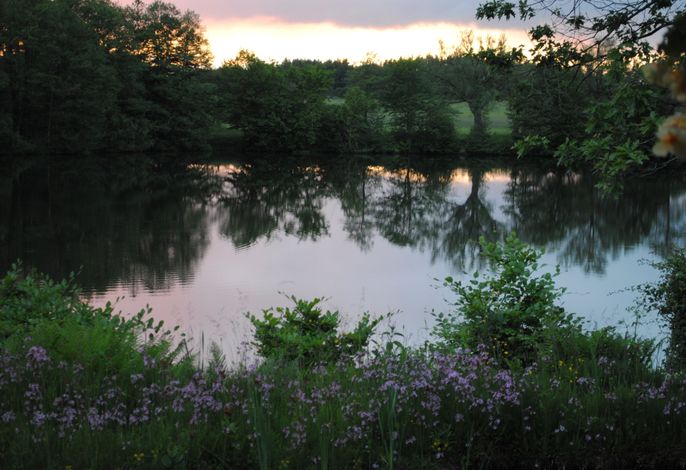 Bild 12