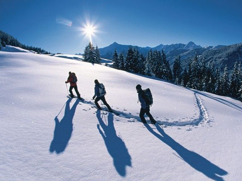 Alpinhotel Berghaus