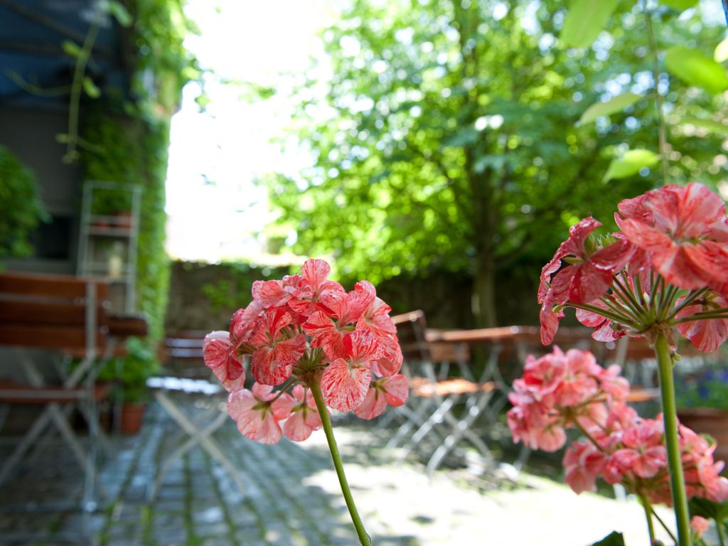 Gasthaus zur Sonne