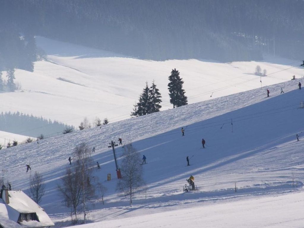 Hotel Schwarzwaldgasthof Zur Traube Gasthof