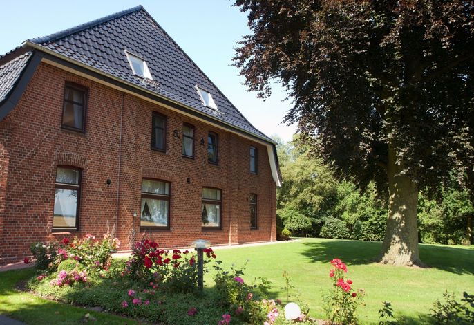 Bild 20