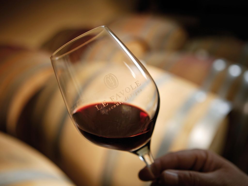 Le Favole Agriturismo Ferienweingut