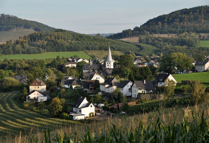 Bild 16