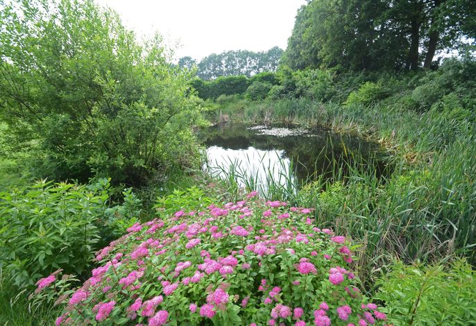 Bild 17
