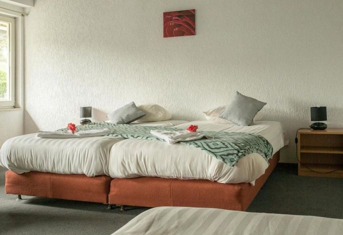 Bild 19