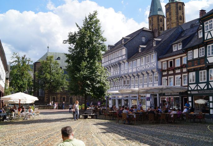 Bild 7