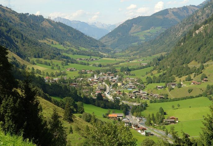 Bild 19