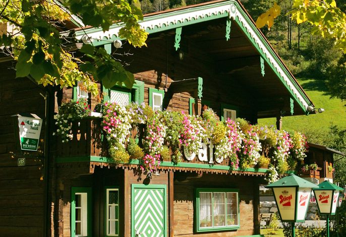 Bild 12