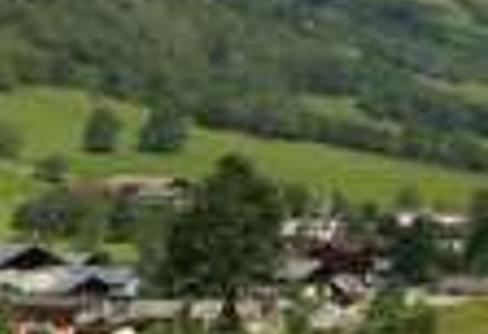 Bild 17