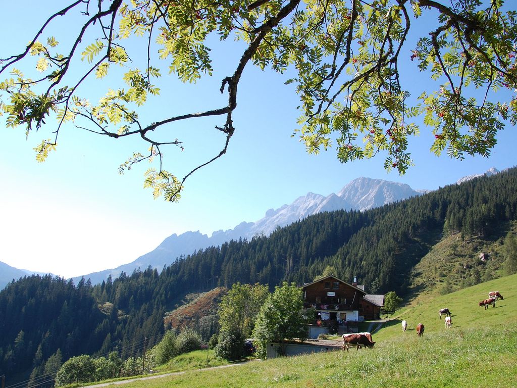 Alpengasthof Rapoldsberg Pension