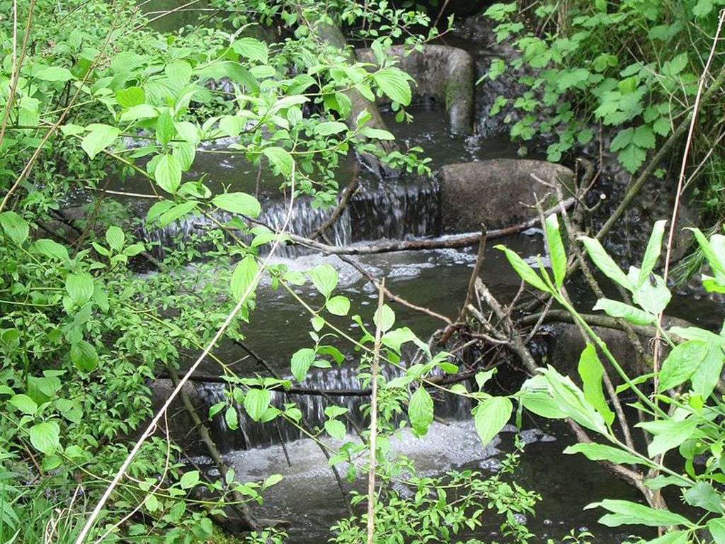 ManusFaktur Waldcafé und Hotel