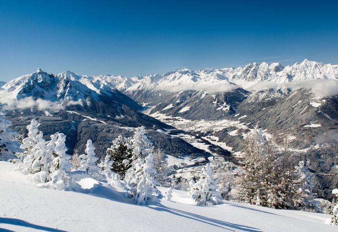 Bild 14