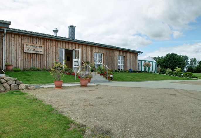 Bild 36