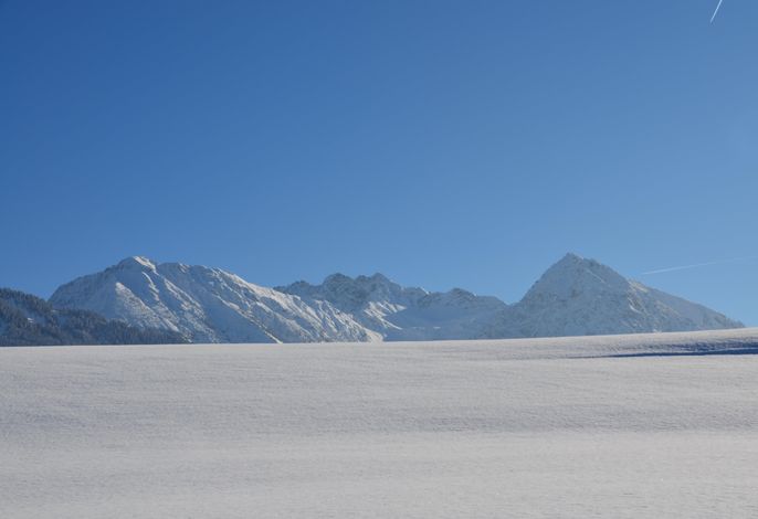 Bild 33